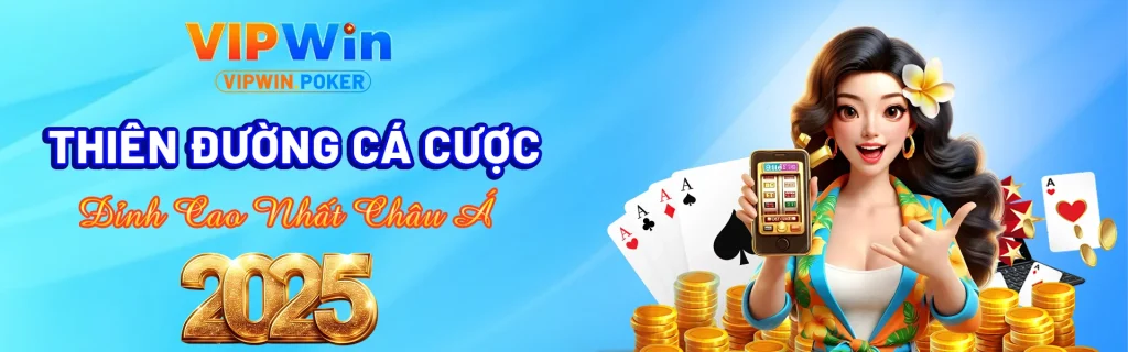 baner-vipwin