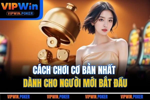 Cách chơi cơ bản nhất dành cho người mới bắt đầu