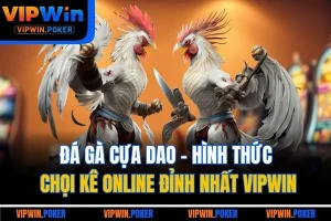  Đá Gà Cựa Dao - Hình Thức Chọi Kê Online Đỉnh Nhất Vipwin