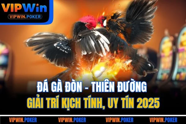 Đá Gà Đòn - Thiên Đường Giải Trí Kịch Tính, Uy Tín 2025