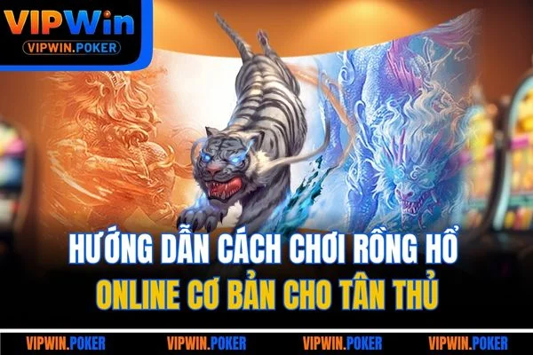 Hướng dẫn cách chơi rồng hổ online cơ bản cho tân thủ