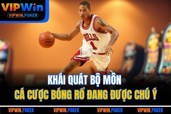 Khái quát bộ môn cá cược bóng rổ đang được chú ý