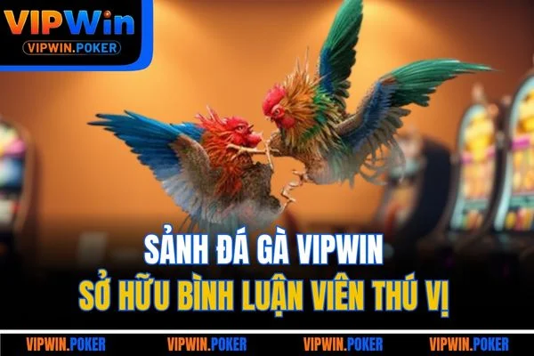 Sảnh đá gà VIPWIN sở hữu bình luận viên thú vị