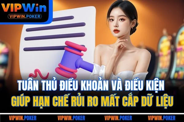 Tuân thủ điều khoản và điều kiện giúp hạn chế rủi ro mất cắp dữ liệu