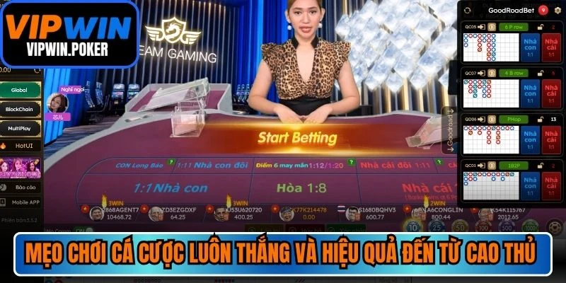 Mẹo chơi cá cược luôn thắng và hiệu quả đến từ cao thủ tại casino VIPWIN