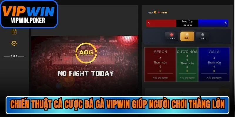Chiến thuật cá cược đá gà VIPWIN giúp người chơi thắng lớn