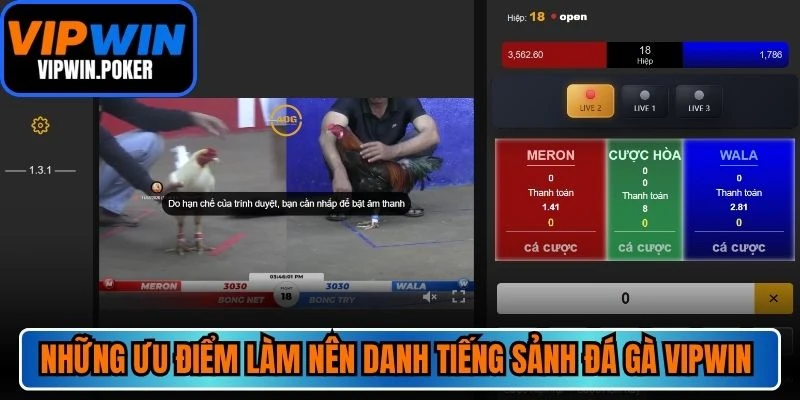 Những ưu điểm làm nên danh tiếng sảnh đá gà VIPWIN ấn tượng