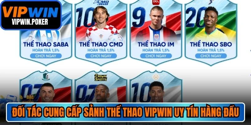 Đối tác cung cấp sảnh thể thao VIPWIN uy tín hàng đầu thị trường